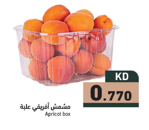 Apricot available at  رامز in الكويت - محافظة الجهراء