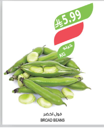 available at المزرعة in مملكة العربية السعودية, السعودية, سعودية - سيهات