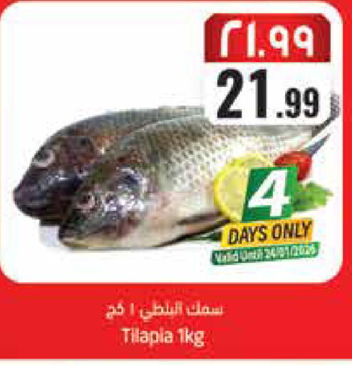 available at ستي فلاور in مملكة العربية السعودية, السعودية, سعودية - سكاكا