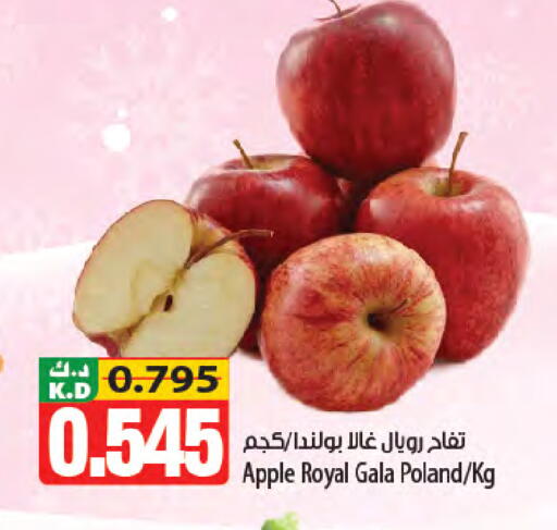 Apple Mango from Poland available at Mango Hypermarket  in Kuwait - Kuwait City