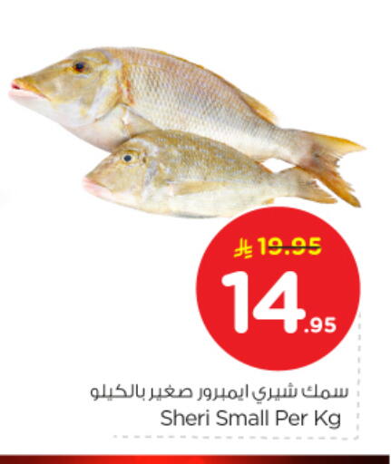 available at نستو in مملكة العربية السعودية, السعودية, سعودية - الرياض