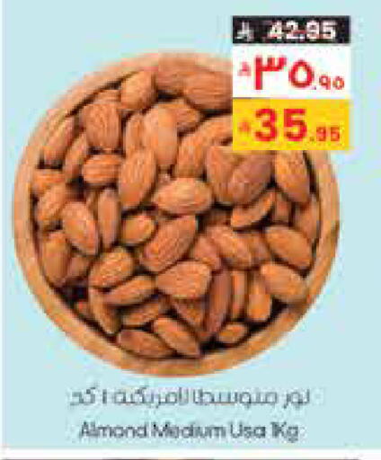 available at City Flower in KSA, Saudi Arabia, Saudi - Sakaka