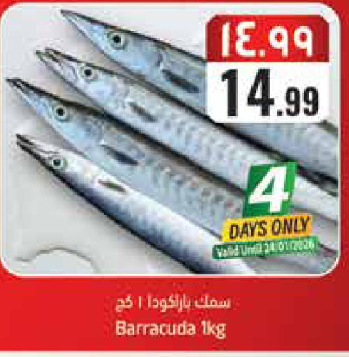 available at ستي فلاور in مملكة العربية السعودية, السعودية, سعودية - سكاكا