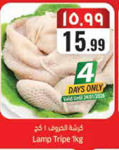 available at City Flower in KSA, Saudi Arabia, Saudi - Sakaka