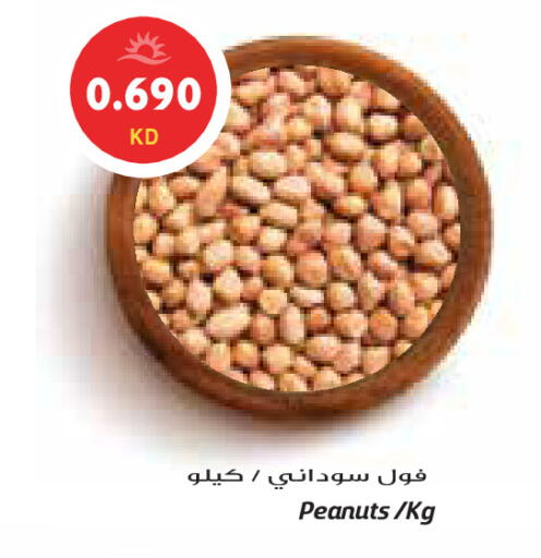 available at جراند كوستو in الكويت - محافظة الأحمدي