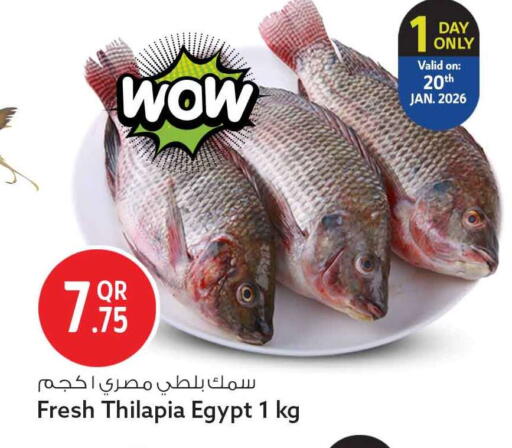 available at سفاري هايبر ماركت in قطر - الشمال