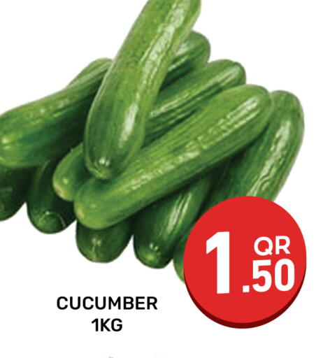 Cucumber available at Majlis Hypermarket in Qatar - Doha