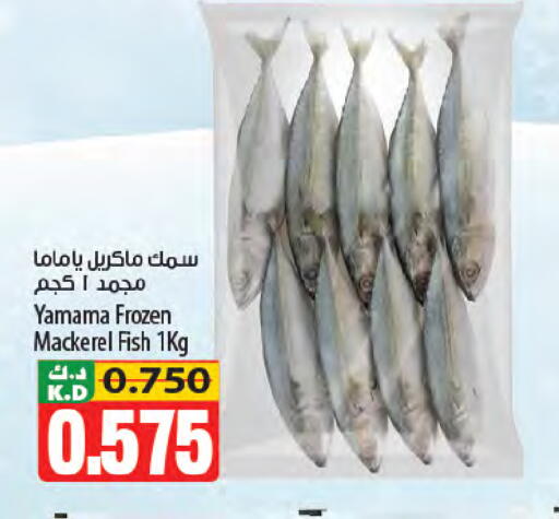 Mango available at Mango Hypermarket  in Kuwait - Kuwait City