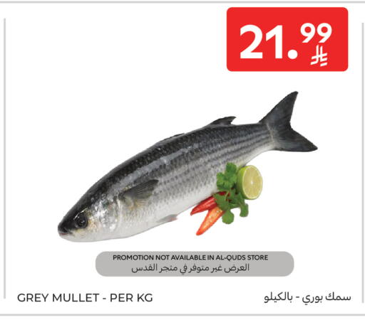 available at كارفور in مملكة العربية السعودية, السعودية, سعودية - سكاكا