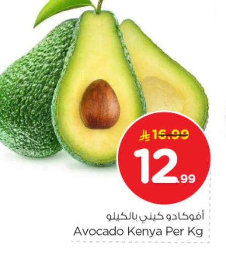 Avocado from Kenya available at Nesto in KSA, Saudi Arabia, Saudi - Buraidah