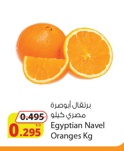 from Egypt available at شركة المنتجات الزراعية الغذائية in الكويت - محافظة الجهراء