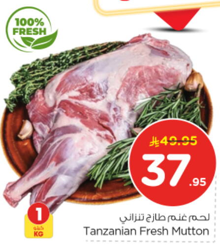 available at نستو in مملكة العربية السعودية, السعودية, سعودية - بريدة