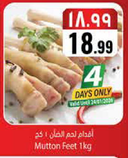 available at City Flower in KSA, Saudi Arabia, Saudi - Najran