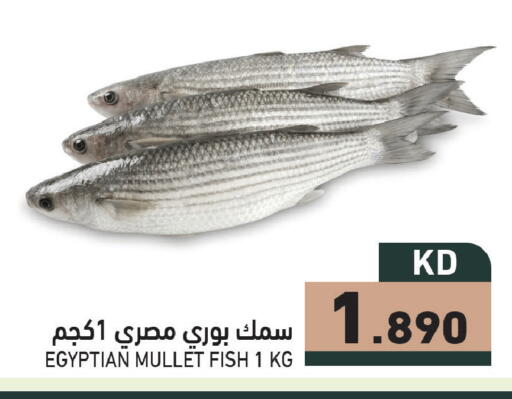 available at  رامز in الكويت - محافظة الجهراء