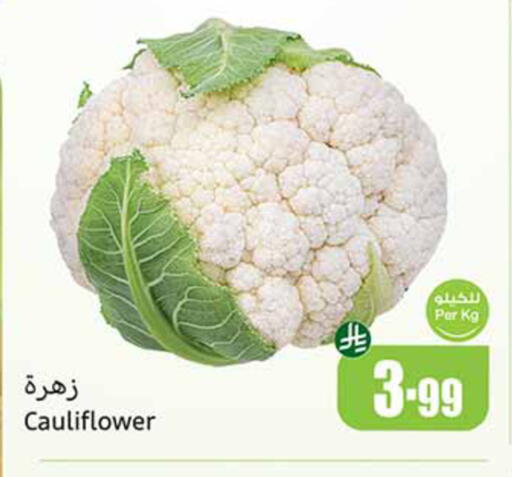 Cauliflower available at أسواق عبد الله العثيم in مملكة العربية السعودية, السعودية, سعودية - الدوادمي