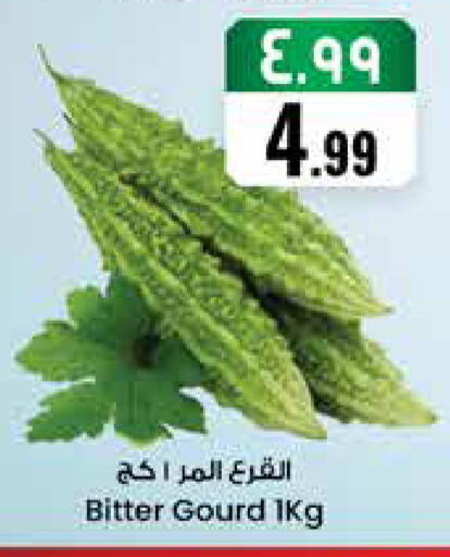 available at City Flower in KSA, Saudi Arabia, Saudi - Jubail