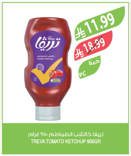 Tomato available at Farm  in KSA, Saudi Arabia, Saudi - Al Hasa