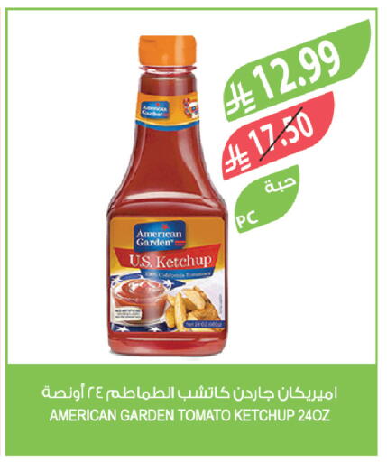 Tomato available at Farm  in KSA, Saudi Arabia, Saudi - Dammam