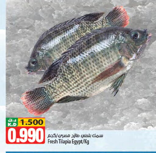 Mango available at مانجو هايبرماركت in الكويت - مدينة الكويت