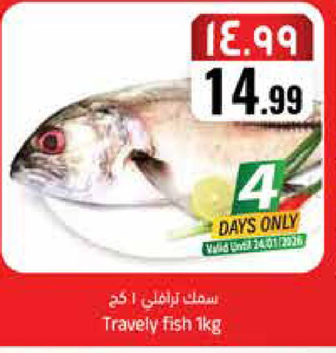 available at ستي فلاور in مملكة العربية السعودية, السعودية, سعودية - الجبيل‎