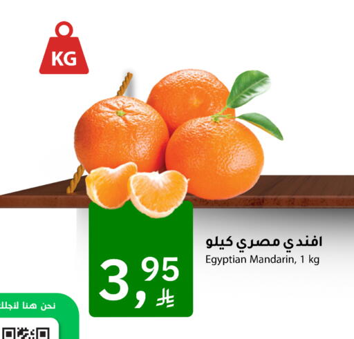 Mandarin from Egypt available at Meem Market  in KSA, Saudi Arabia, Saudi - Al Hasa