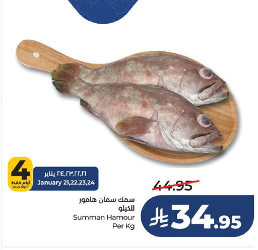 available at لولو هايبرماركت in مملكة العربية السعودية, السعودية, سعودية - حفر الباطن