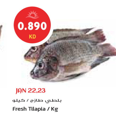 available at جراند كوستو in الكويت - محافظة الأحمدي