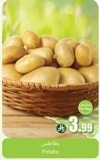 Potato available at أسواق عبد الله العثيم in مملكة العربية السعودية, السعودية, سعودية - القطيف‎
