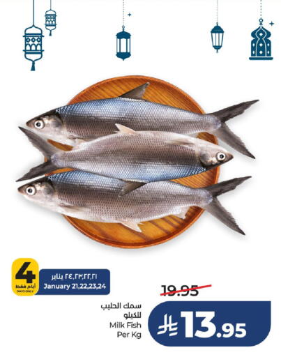 available at لولو هايبرماركت in مملكة العربية السعودية, السعودية, سعودية - حفر الباطن
