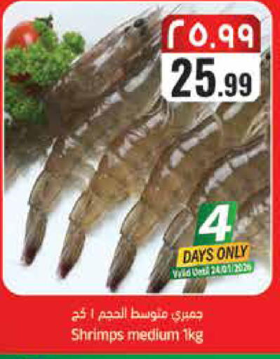 available at City Flower in KSA, Saudi Arabia, Saudi - Hail