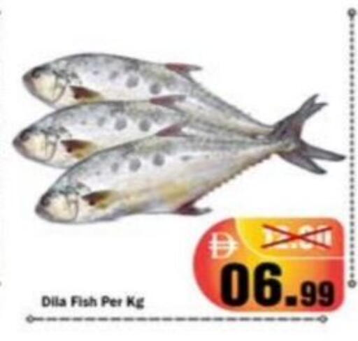 available at رويال جلف هايبرماركت in الإمارات العربية المتحدة , الامارات - أبو ظبي