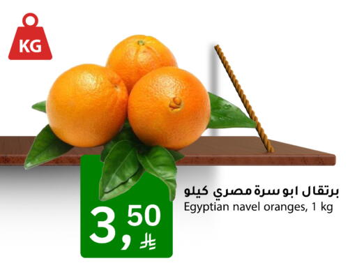 from Egypt available at Meem Market  in KSA, Saudi Arabia, Saudi - Al Hasa