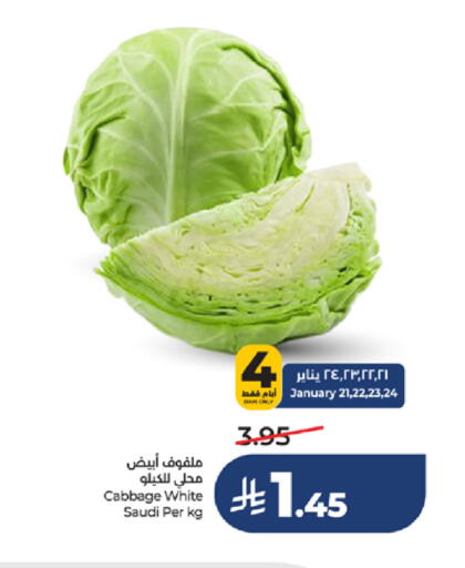 Cabbage from Saudi Arabia available at LULU Hypermarket in KSA, Saudi Arabia, Saudi - Mecca