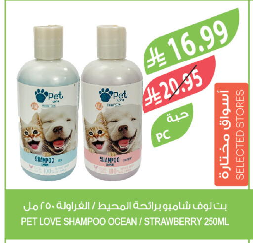 Strawberry available at Farm  in KSA, Saudi Arabia, Saudi - Khafji