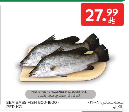 available at كارفور in مملكة العربية السعودية, السعودية, سعودية - سكاكا