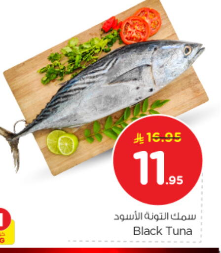 available at نستو in مملكة العربية السعودية, السعودية, سعودية - الرياض