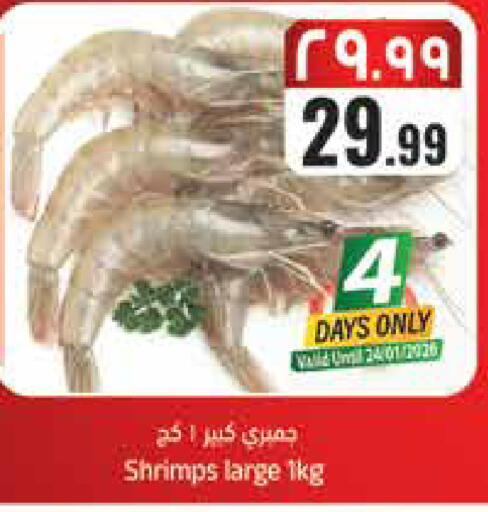 available at ستي فلاور in مملكة العربية السعودية, السعودية, سعودية - سكاكا