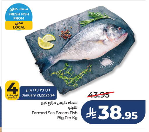 available at لولو هايبرماركت in مملكة العربية السعودية, السعودية, سعودية - حفر الباطن