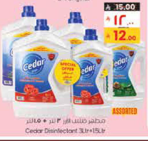 available at City Flower in KSA, Saudi Arabia, Saudi - Hail