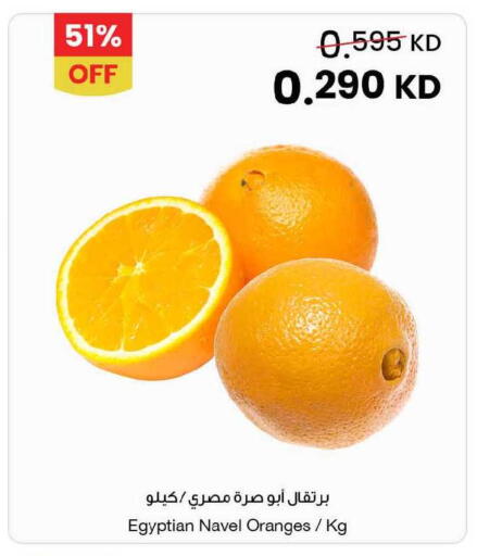 from Egypt available at مركز سلطان in الكويت - محافظة الجهراء