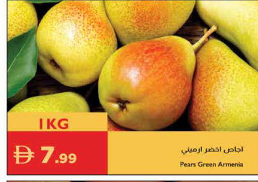 available at إسطنبول سوبرماركت in الإمارات العربية المتحدة , الامارات - أبو ظبي