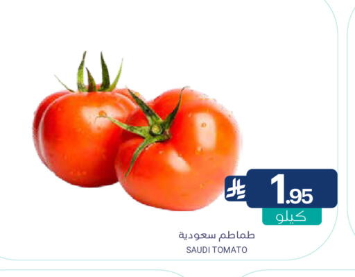 Tomato from Saudi Arabia available at اسواق المنتزه in مملكة العربية السعودية, السعودية, سعودية - سيهات