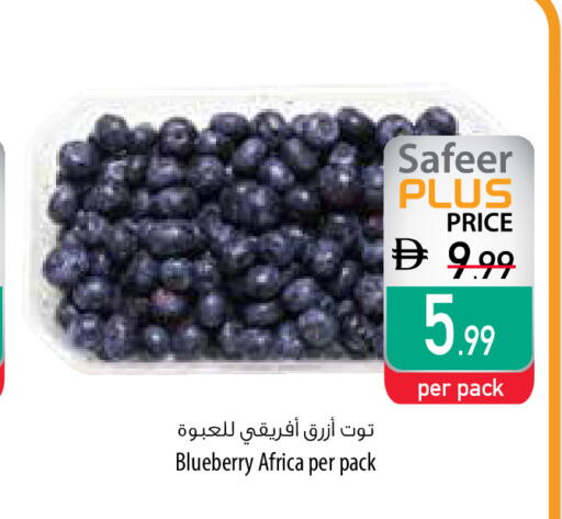 Blueberry BlueBerry available at Safeer Market in UAE - Al Ain