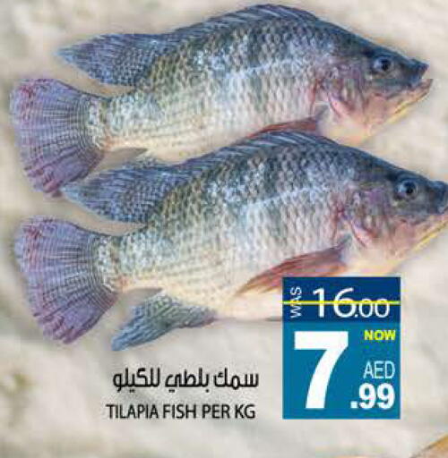 available at هاشم هايبرماركت in الإمارات العربية المتحدة , الامارات - الشارقة / عجمان