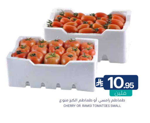 Cherry Tomato available at Muntazah Markets in KSA, Saudi Arabia, Saudi - Qatif