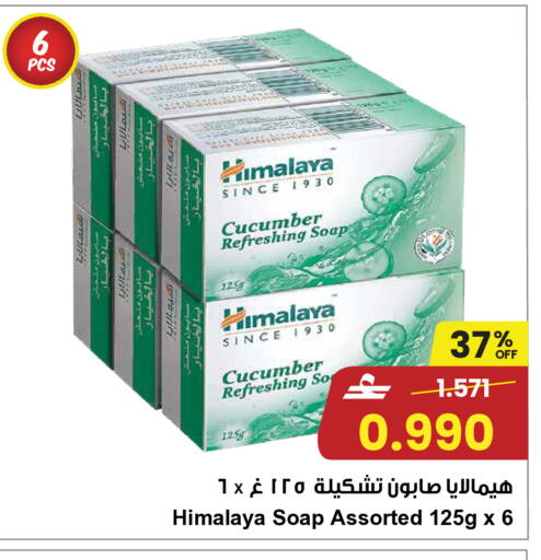 Cucumber available at مركز سلطان in عُمان - مسقط‎