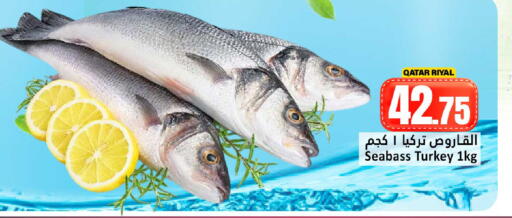 available at دانة هايبرماركت in قطر - الوكرة