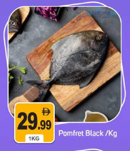 available at سوق طلال in الإمارات العربية المتحدة , الامارات - دبي