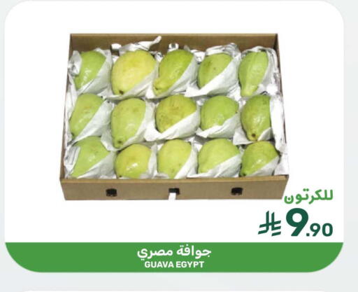 Guava from Egypt available at Mazaya in KSA, Saudi Arabia, Saudi - Qatif