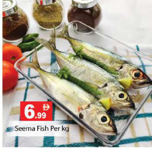 available at Zain Mart Supermarket in UAE - Ras al Khaimah